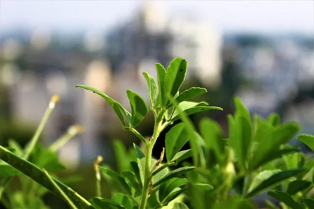 こんにちは、皆様。