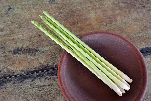 こんにちは、スパイスカレー愛好家の皆様。